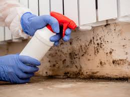 Best Industrial Mold Remediation  in Strongsville, OH